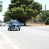 Montevago 2010 (464)